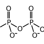 STPP (Trinatriumtripolyfosfaat)